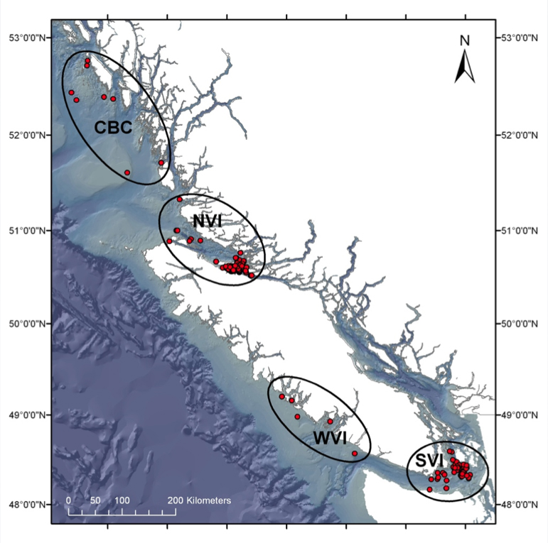 Red dots indicate the locations where minke whales were encountered between 2005 and 2012. 