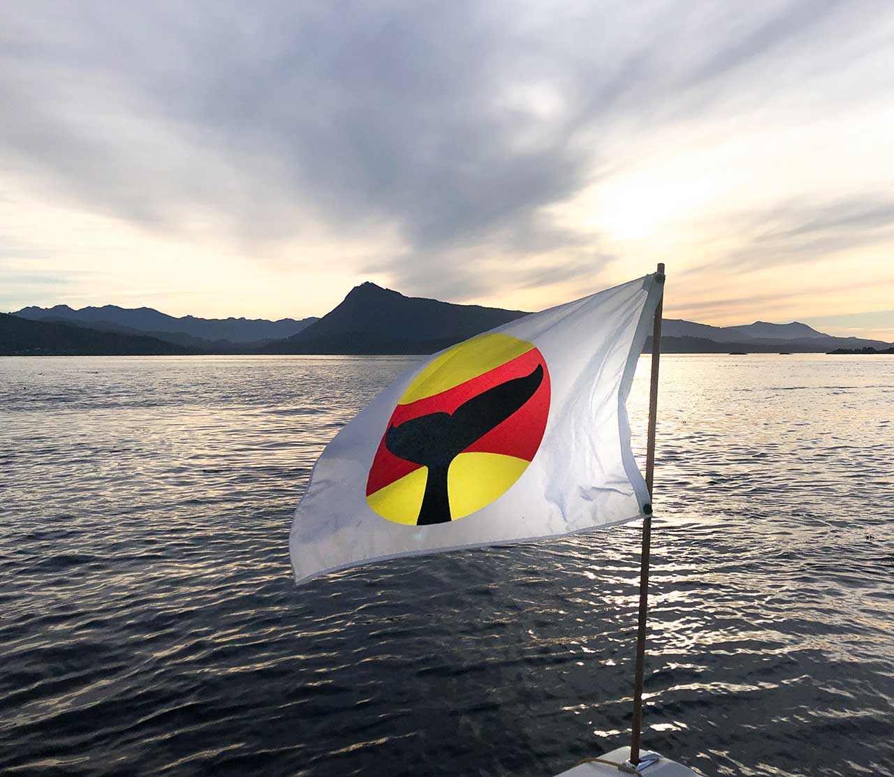 mers marine education research society whale warning flag on boat